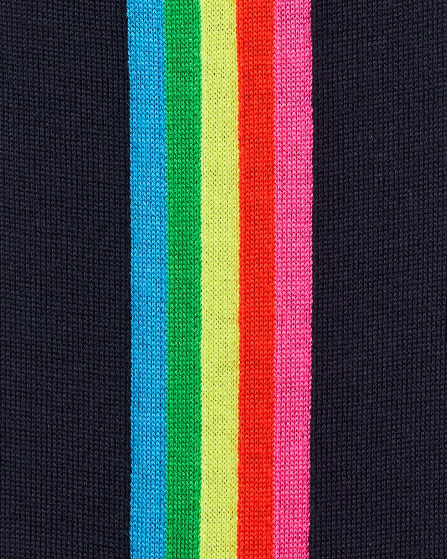 Pull Hoodie Zippé Bande Multicolore